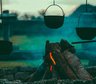 recent post